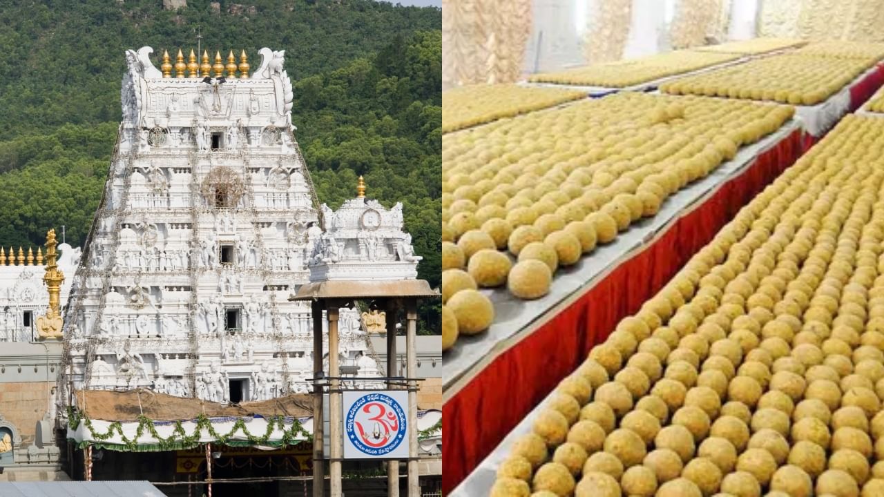 Tirupati Laddu Controversy: “மாட்டு கொழுப்பு..” லட்டு விற்பனை மூலம் திருப்பதி கோயிலுக்கு கிடைக்கும் வருவாய் எவ்வளவு தெரியுமா?