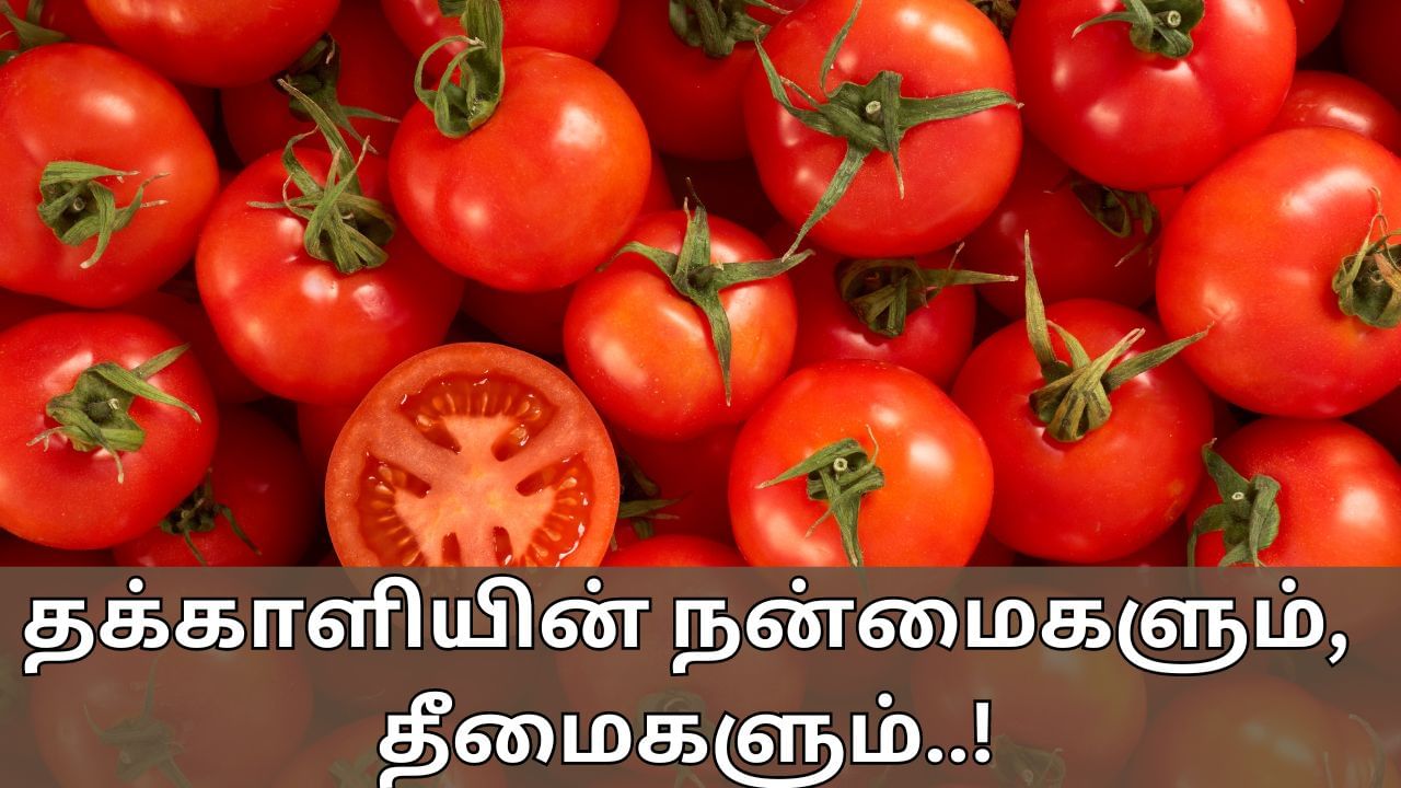 Tomato Benefits: இதய ஆரோக்கியத்தை பராமரிக்கும் தக்காளி.. பல நன்மைகளை கொடுக்கும்!