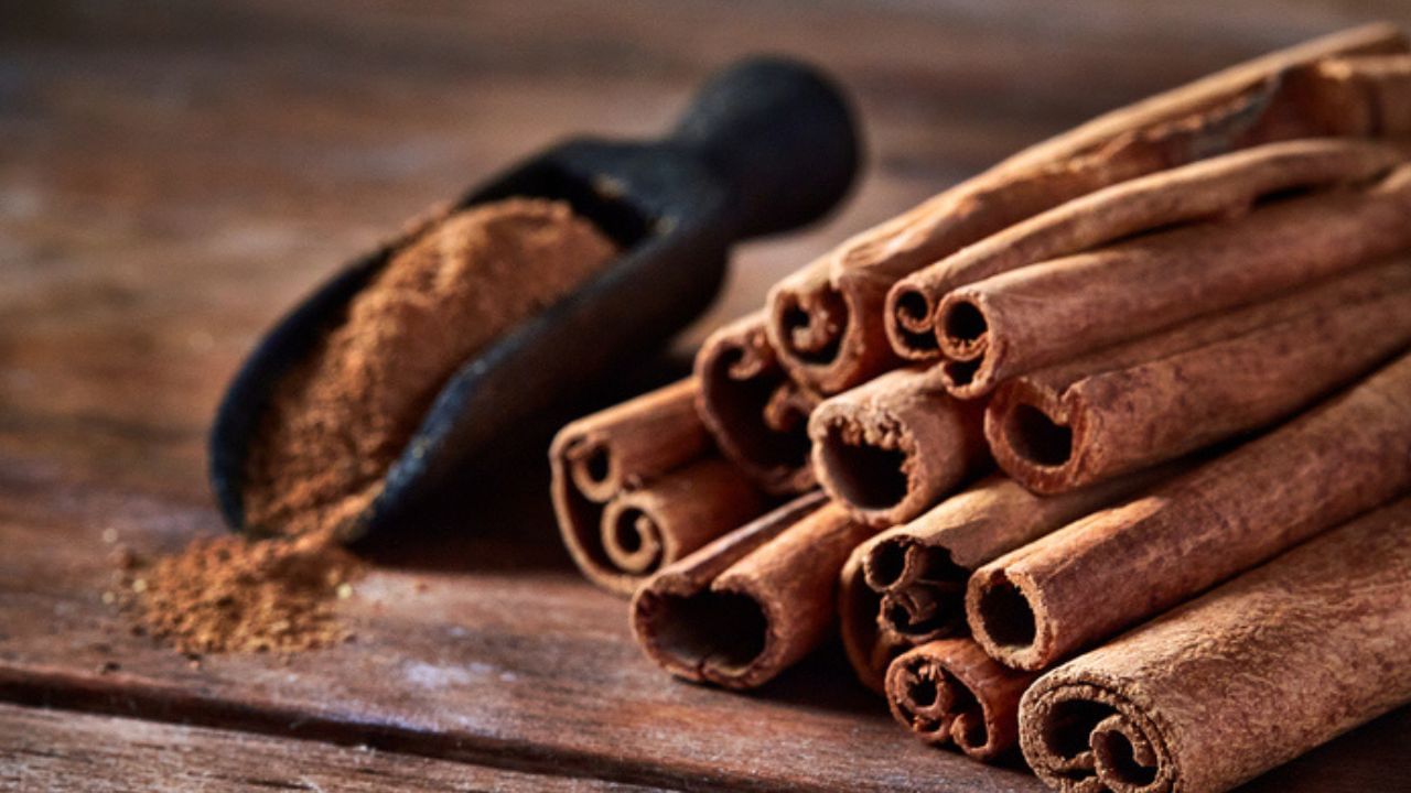 Health Benefits of Cinnamon: வெறும் வயிற்றில் இலவங்கப்பட்டை நீர் குடிப்பதால் இவ்வளவு நன்மைகளா?