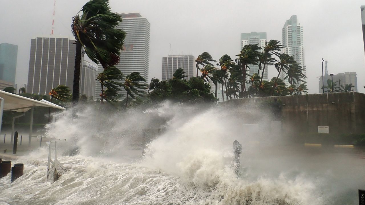 Milton Hurricane : புளோரிடாவை புரட்டி போட்ட மில்டன் சூறாவளி.. முகாம்களில் தஞ்சமடைந்த பொதுமக்கள்!