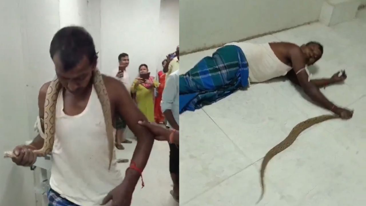 Viral Video : மருத்துவமனைக்குக் கையில் பாம்புடன் வந்த நபர்..! இணையத்தில் வைரலாகும் வீடியோ..!