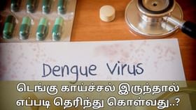 Dengue: உங்களுக்கு டெங்கு இருந்தால் எப்படி தெரிந்து கொள்வது..? அறிகுறிகள் என்ன..?