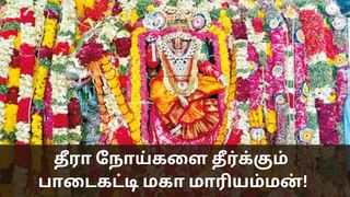 Padaikatti Maha Mariamman: பாடை கட்டி ஊர்வலம்.. தீரா நோய்களை தீர்க்கும் மகாமாரியம்மன்!