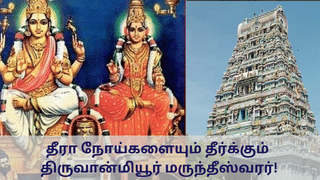 Marundeeswarar Temple: தீரா நோய்களையும் தீர்க்கும் திருவான்மியூர் மருந்தீஸ்வரர்!