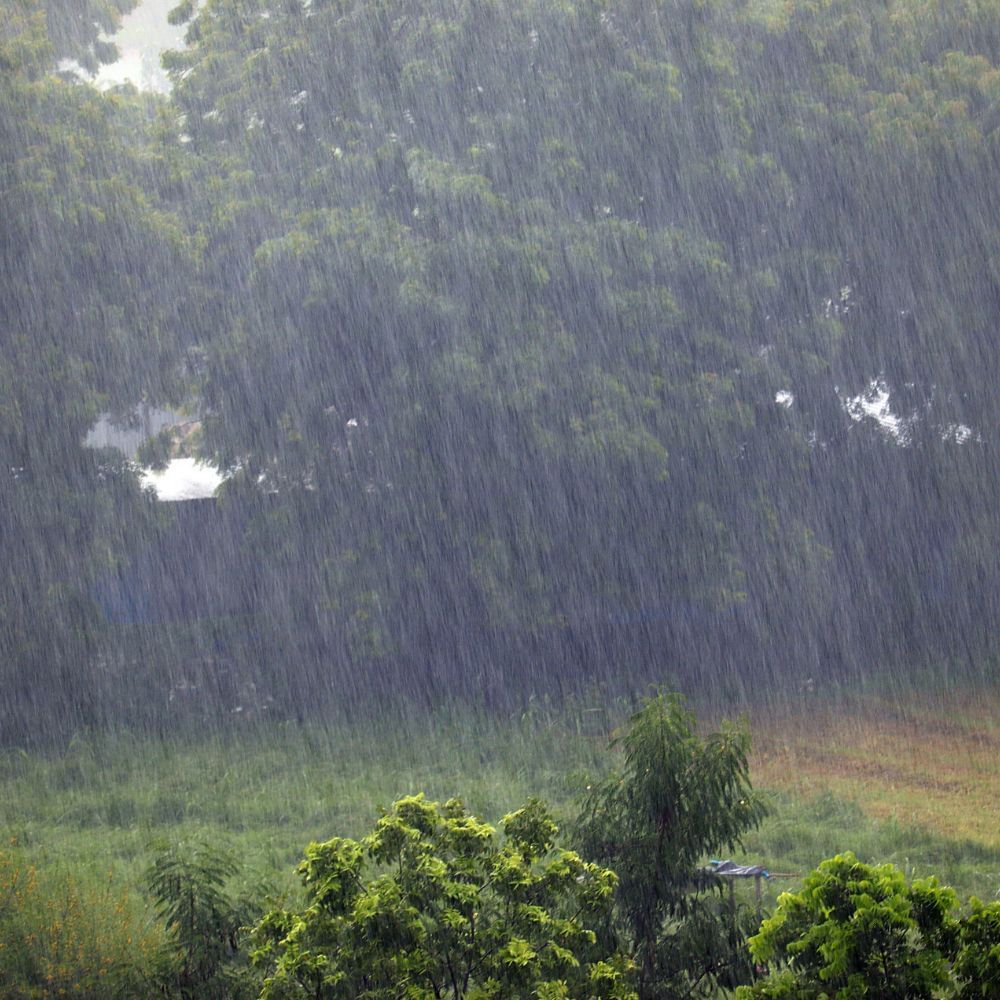 பெரும்பாலான