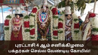 Purattasi Month: புரட்டாசி 4 ஆம் சனிக்கிழமை.. பக்தர்கள் கண்டிப்பாக செல்ல வேண்டிய கோயில்!