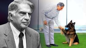 Ratan Tata: வளர்ப்பு நாய், சமையல்காரர்களுக்கு சொத்தில் பங்கு.. ரத்தன் டாடாவின் வியக்க வைக்கும் உயில்!