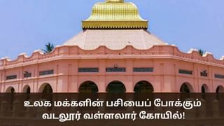 Vallalar Temple: உலக மக்களின் பசியைப் போக்கும் வடலூர் வள்ளலார் கோயில்!