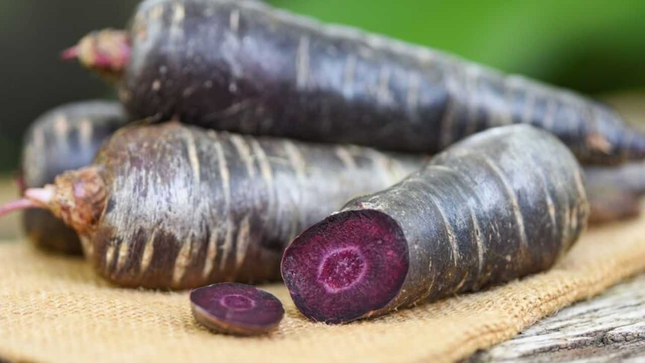 Black Carrot Benefits: அசரவைக்கும் கருப்பு கேரட்டின் நன்மைகள்.. புற்றுநோய் வராமல் தடுக்கும்!