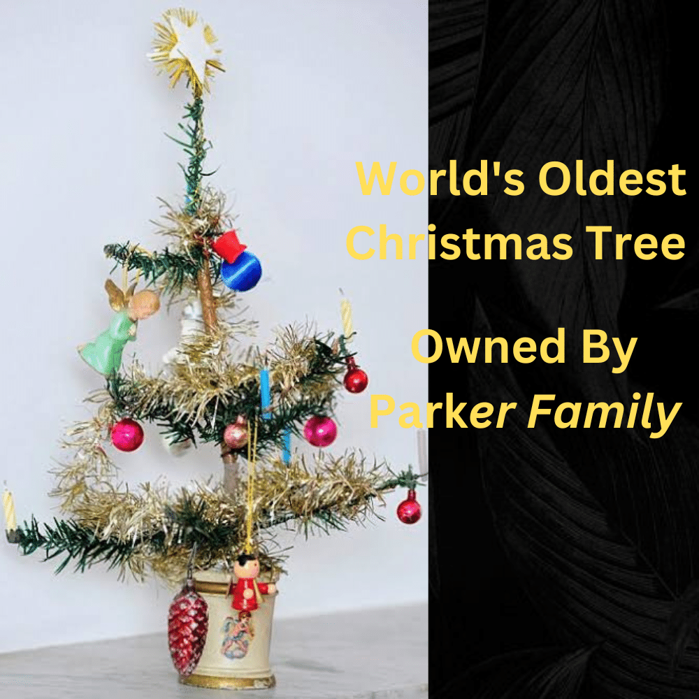 1886 ஆம் ஆண்டு வாங்கப்பட்ட 12 இன்ச் உயரம் உடைய கிறிஸ்துமஸ் மரம் தான் மிகப் பழமையான கிறிஸ்துமஸ் மரமாக கூறப்படுகின்றது. இங்கிலாந்தை சேர்ந்த ஜேனட் பார்க்கர் என்பவரே இந்த பழமையான அழகிய கிறிஸ்துமஸ் மரத்தின் சொந்தக்காரர் என்பது குறிப்பிடத்தக்கது.