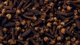 Clove: தினமும் வெறும் வயிற்றில் கிராம்பு.. இத்தனை நன்மைகளா?