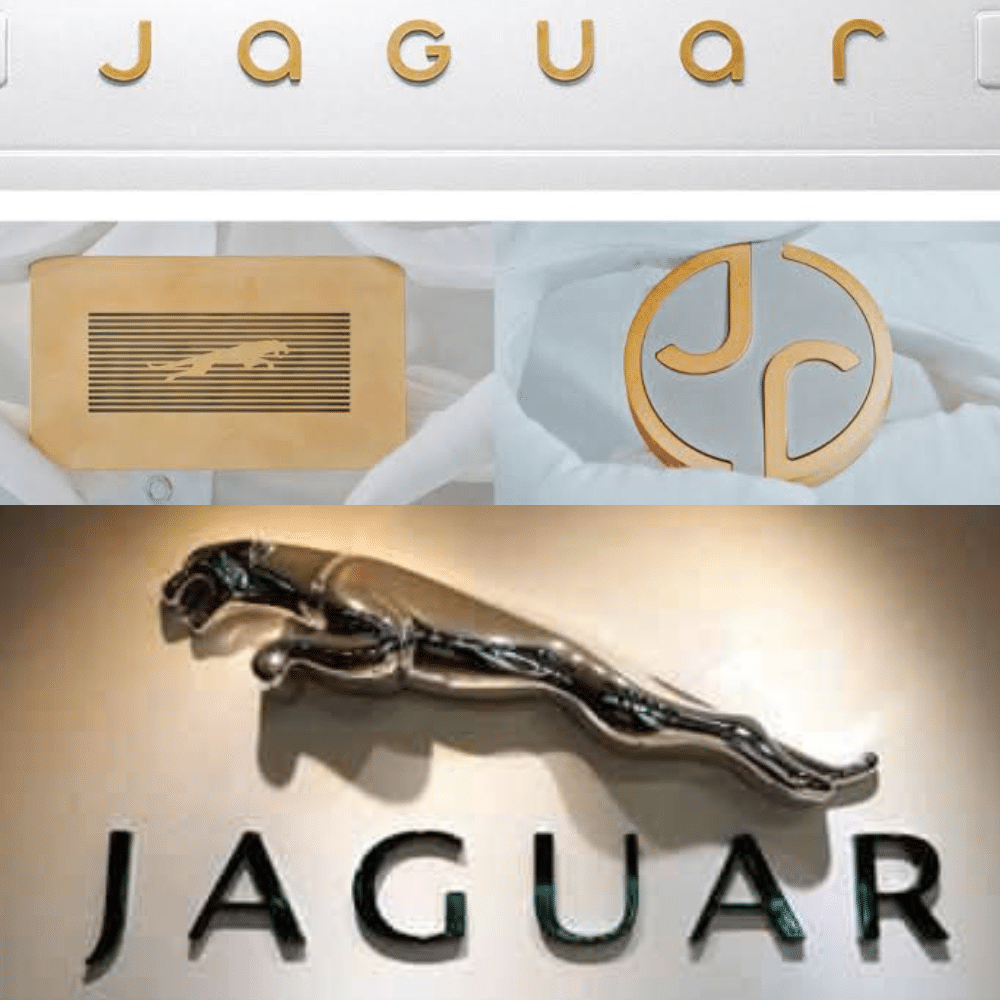 Jaguar 3