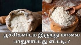 Kitchen Tips: மாவுகள் கெட்டு போகாமல் இருக்க வேண்டுமா? இந்த எளிய குறிப்புகள் உதவும்!