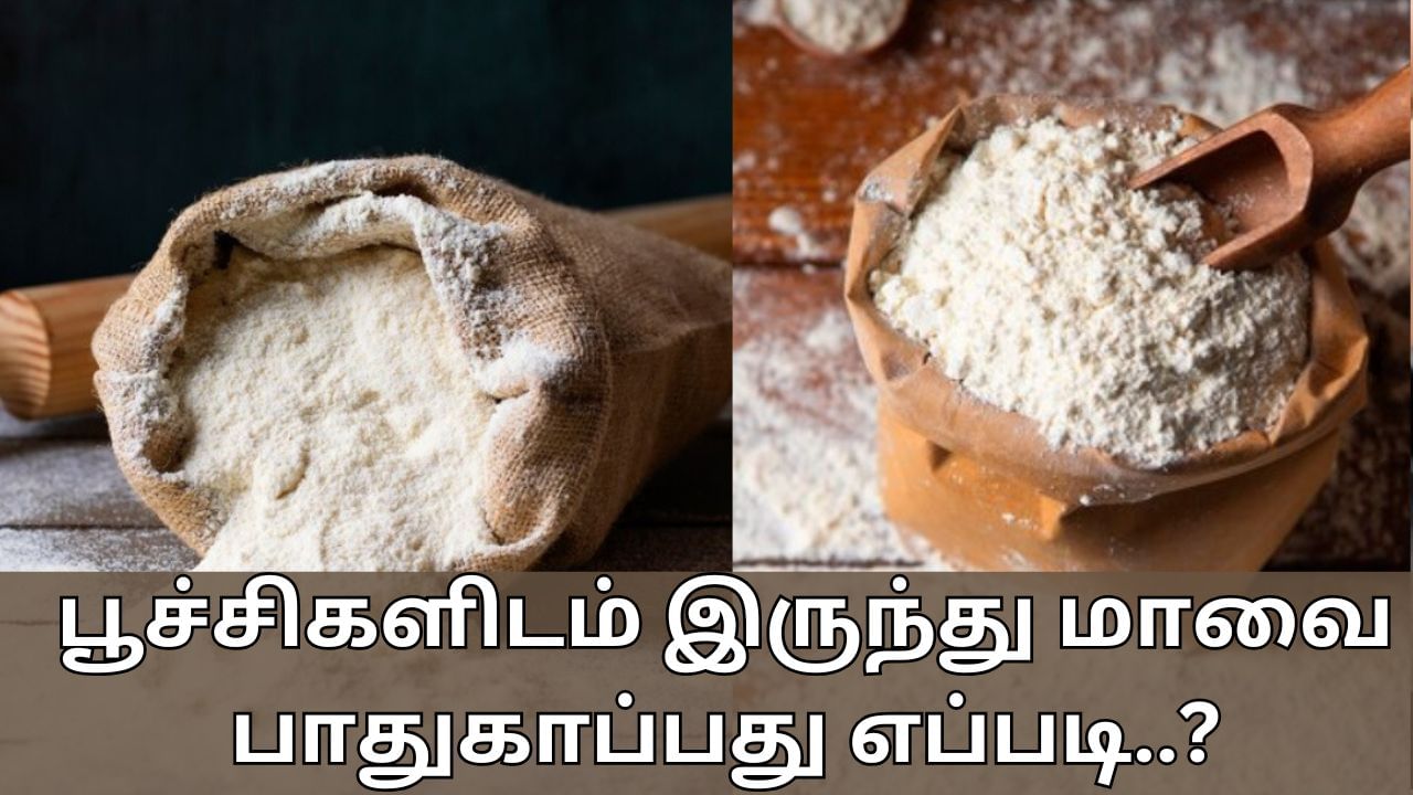 மாவுகள் கெட்டு போகாமல் இருக்க வேண்டுமா? இந்த எளிய குறிப்புகள் உதவும்!