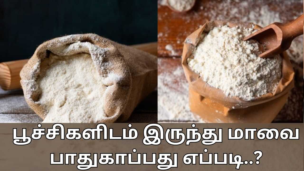 Kitchen Tips: மாவுகள் கெட்டு போகாமல் இருக்க வேண்டுமா? இந்த எளிய குறிப்புகள் உதவும்!