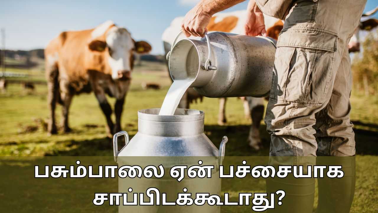 Raw Milk Side Effects: பசும்பாலை ஏன் பச்சையாக குடிக்கக்கூடாது? இவ்வளவு பக்க விளைவுகள் ஏற்படுமா?