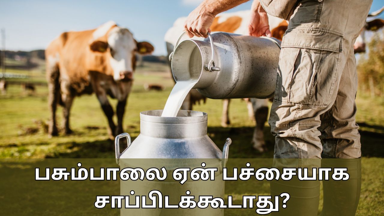 Raw Milk Side Effects: பசும்பாலை ஏன் பச்சையாக குடிக்கக்கூடாது? இவ்வளவு பக்க விளைவுகள் ஏற்படுமா?