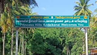 Kodaikkanal: கொடைக்கானலில் இந்த வாகனங்கள் வர திடீர் தடை.. அதிர்ச்சியில் சுற்றுலா பயணிகள்