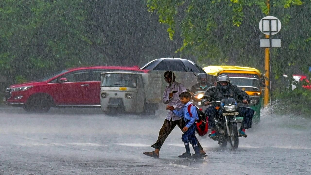 School Leave: கனமழை.. திருவாரூரில் பள்ளி, கல்லூரிகளுக்கு  இன்று விடுமுறை!