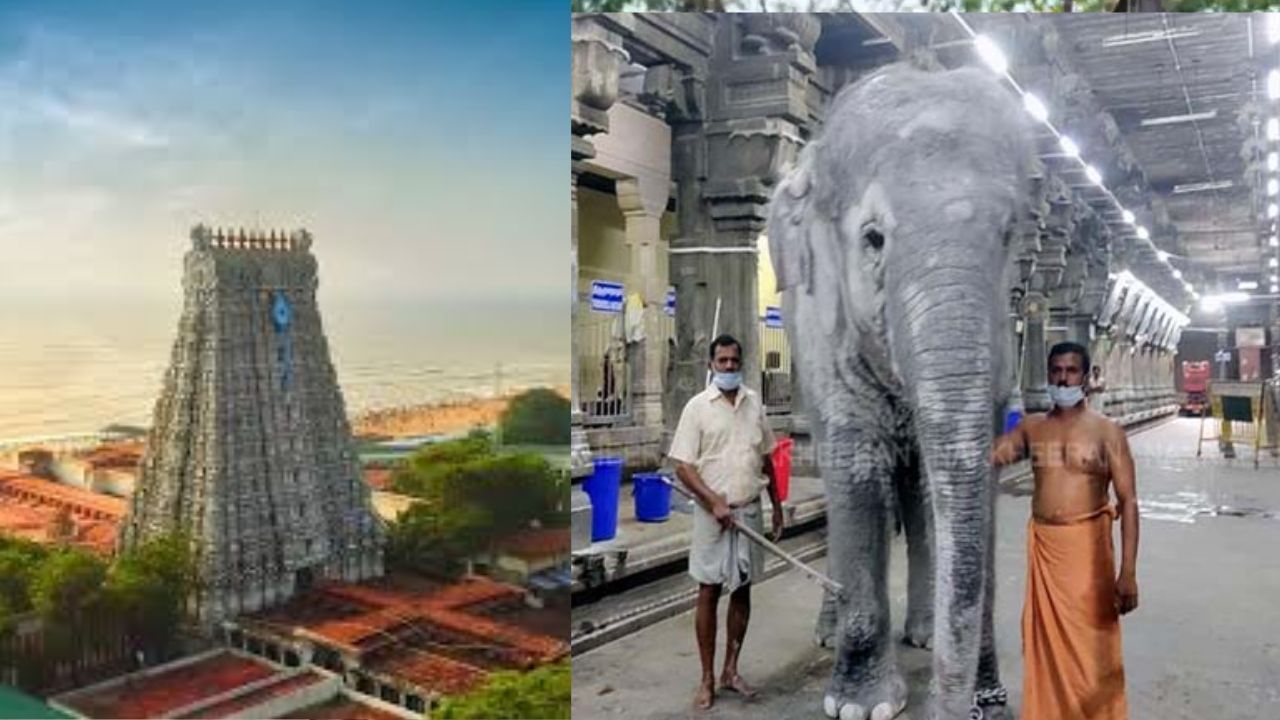 Tiruchendur: திருச்செந்தூர் கோயில் யானை தாக்கியதில் 2 பேர் உயிரிழப்பு – பக்தர்கள் அதிர்ச்சி!