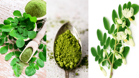 Moringa Leaves: முடி வளர்ச்சிக்கு உதவும் முருங்கை இல்லை.. இப்படி யூஸ் பண்ணுங்க!