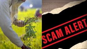 PM Kisan Scam : பிஎன் கிசான் பெயரில் புதிய மோசடி.. எச்சரிக்கும் காவக்துறை.. முழு விவரம் இதோ!