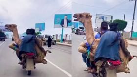 Viral Video : இருசக்கர வாகனத்தில் அழைத்துச் செல்லப்பட்ட ஒட்டகம்.. இணையத்தில் வைரலாகும் வீடியோ!