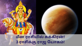 Astrology: மீன ராசியில் சுக்கிரன்.. 3 ராசிக்காரர்களுக்கு ராஜ யோகம் தான்!