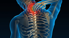 Bone Health: எலும்புகள் வலுப்பெற என்ன சாப்பிடலாம்? உடனே தெரிஞ்சிக்கோங்க!