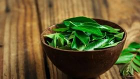 Curry Leaves Benefits: 15 நாட்கள் தொடர்ந்து கறிவேப்பிலை சாப்பிடுங்க.. பலன்களைப் பெறுங்க!