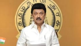 MK Stalin: அரசியலுக்கு வரும் நடிகர்கள்.. முதலமைச்சர் ஸ்டாலின் கொடுத்த பதில்!