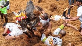 Avaniyapuram Jallikattu: திமிறி வரும் காளைகள்.. விடாது அடக்கும் காளையர்கள்.. தொடங்கியது அவனியாபுரம் ஜல்லிக்கட்டு!