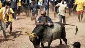 Jallikattu : நெருங்கும் பொங்கல்.. மதுரை ஜல்லிக்கட்டு போட்டிகள் முழு விவரம் இதோ!